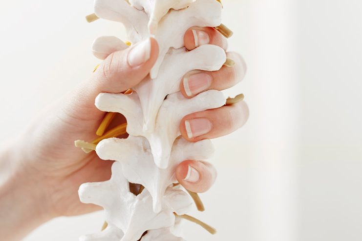 Back Pain Spine Care Spine Physio Rehab