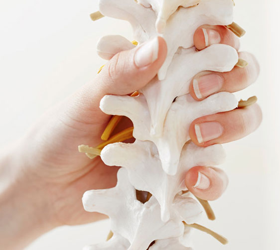 Back Pain Physio Treatment