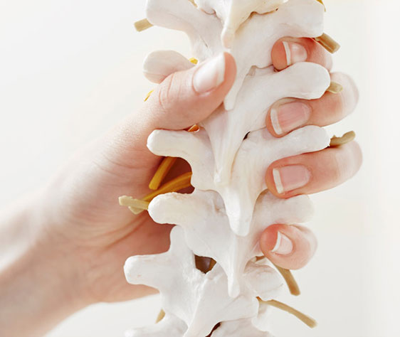 Spine Pain Physio Treatment in Auckland