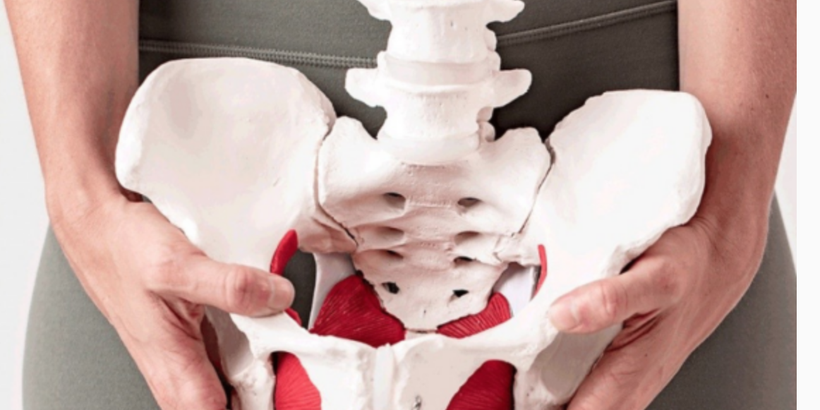 bodyreform pelvic floor health